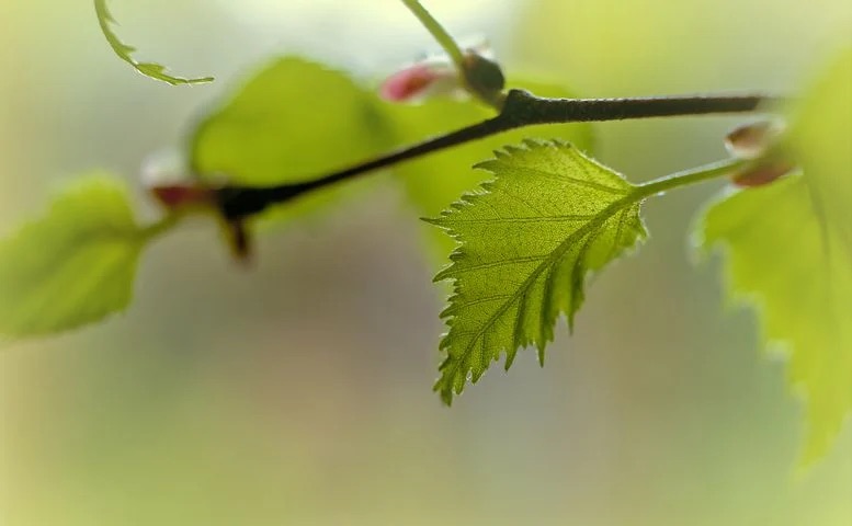 IMG_5619